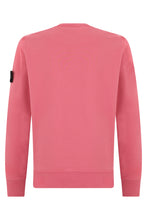 Load image into Gallery viewer, Sweatshirt with distinctive logo