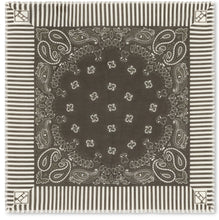 Load image into Gallery viewer, Scarf with paisley print
