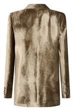 Load image into Gallery viewer, Velvet jacket