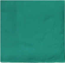 Load image into Gallery viewer, Rivera chiffon shawl