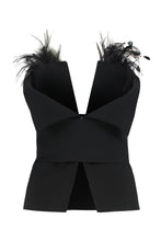 Load image into Gallery viewer, Elegant top with feathers

