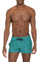 Load image into Gallery viewer, Nylon swim shorts
