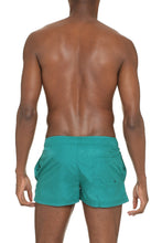 Load image into Gallery viewer, Nylon swim shorts
