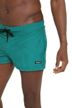 Load image into Gallery viewer, Nylon swim shorts
