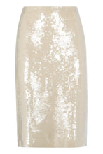 Load image into Gallery viewer, Bonne sequin skirt
