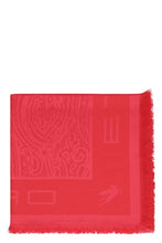 Load image into Gallery viewer, Paisley jacquard shawl
