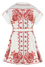 Load image into Gallery viewer, Lucky embroidered mini dress
