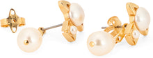 Load image into Gallery viewer, Earrings with decorative pearls
