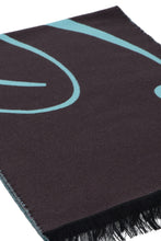Load image into Gallery viewer, Wool and silk scarf
