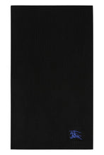 Load image into Gallery viewer, Cashmere scarf

