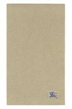 Load image into Gallery viewer, Cashmere scarf
