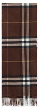 Load image into Gallery viewer, Plaid scarf with fringes
