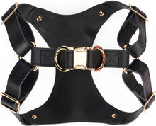 Load image into Gallery viewer, Leopard dog harness
