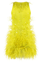 Load image into Gallery viewer, Mini dress with sequins and feathers

