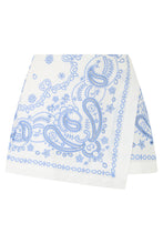 Load image into Gallery viewer, Embroidered linen pants
