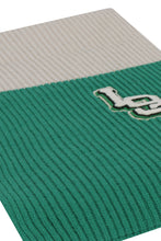 Load image into Gallery viewer, Ribbed knit scarf
