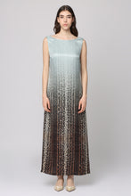 Load image into Gallery viewer, Printed silk dress
