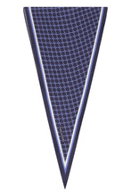 Load image into Gallery viewer, Cotton and silk shawl
