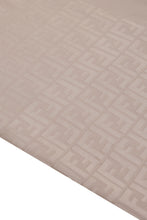 Load image into Gallery viewer, Silk jacquard stole FF
