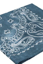 Load image into Gallery viewer, Printed silk scarf
