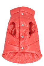 Load image into Gallery viewer, Moncler x Poldo Dog Couture - Padded Dog Gilet

