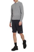 Load image into Gallery viewer, Long sleeve crew-neck sweater
