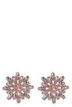Load image into Gallery viewer, Earrings Flower
