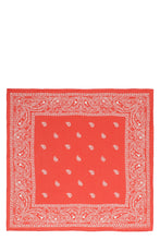 Load image into Gallery viewer, Printed viscose scarf
