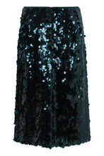 Load image into Gallery viewer, Gonna Bias with sequins
