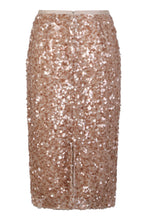 Load image into Gallery viewer, Skirt in tulle and sequins

