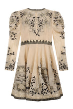 Load image into Gallery viewer, Lyrical Embroidered mini dress
