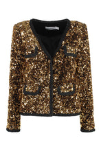 Load image into Gallery viewer, Sequin jacket
